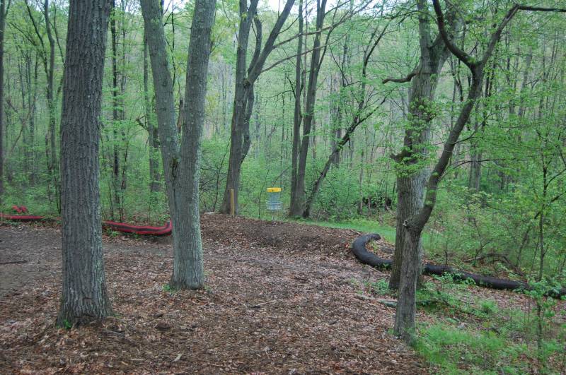 Peabody Disc Golf at Scouting Woods Professional Disc Golf Association